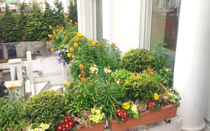 Holland Hotel Londra
